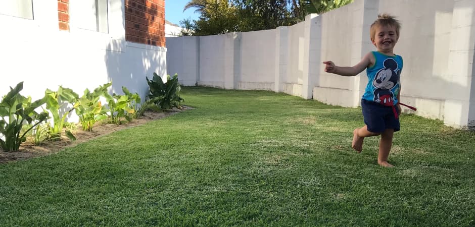 The Gardener Designer