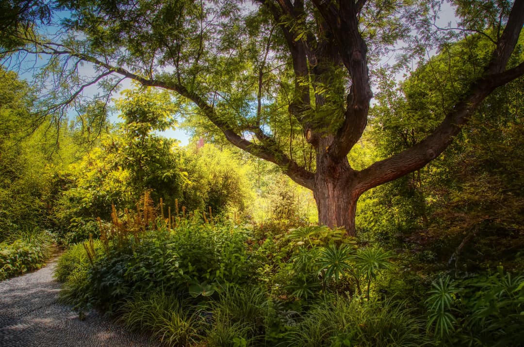 The Edenic Job